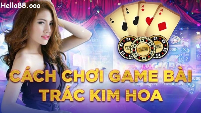 Cách chơi trắc kim hoa hiệu quả nhất 2024