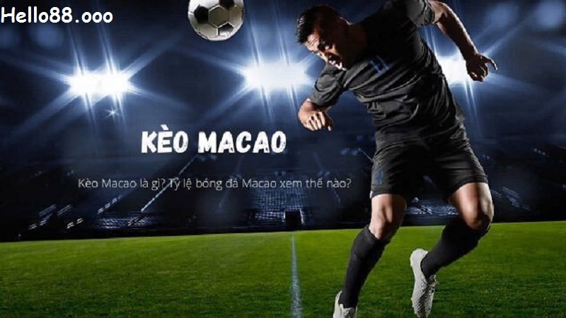 Tìm hiểu kèo macau là gì