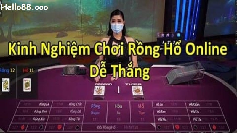 KInh nghiệm chơi rồng hổ thắng lớn tại helo88